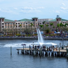 DSC 4565-topaz-rawdenoise-sharpen-denoise